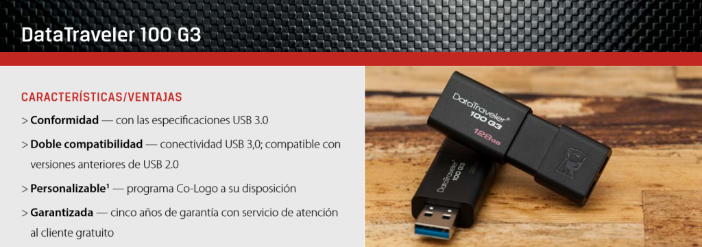 Kingston Datatraveler 100 G3