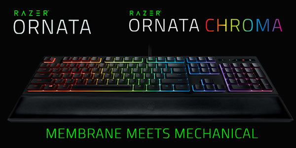 Razer Ornata