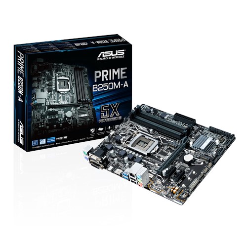 Asus Prime B250M-A