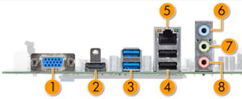 HP 260-P101NS conectores