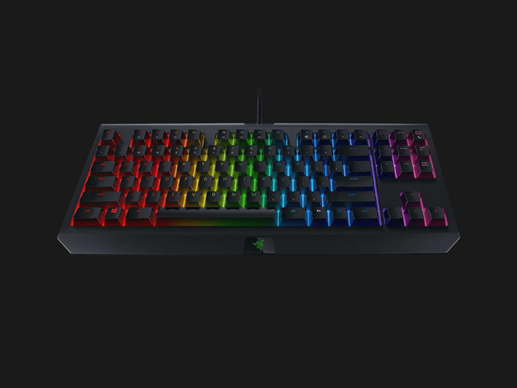 Razer Blackwidow TE Chroma V2