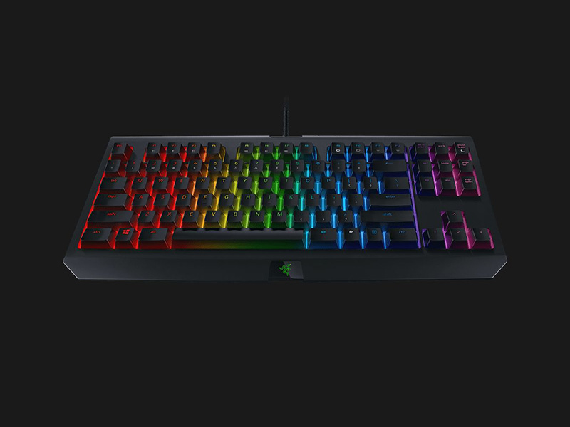 Razer Blackwidow TE Chroma V2