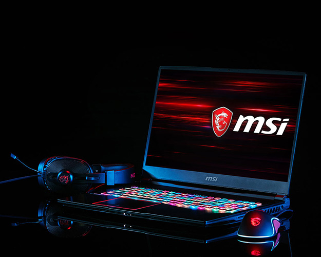 MSI GE75 Raider 8RE-066XES