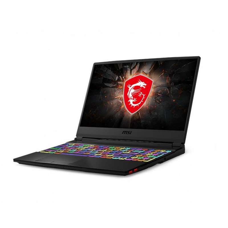 MSI GE65 Raider 9SF-003ES, panel