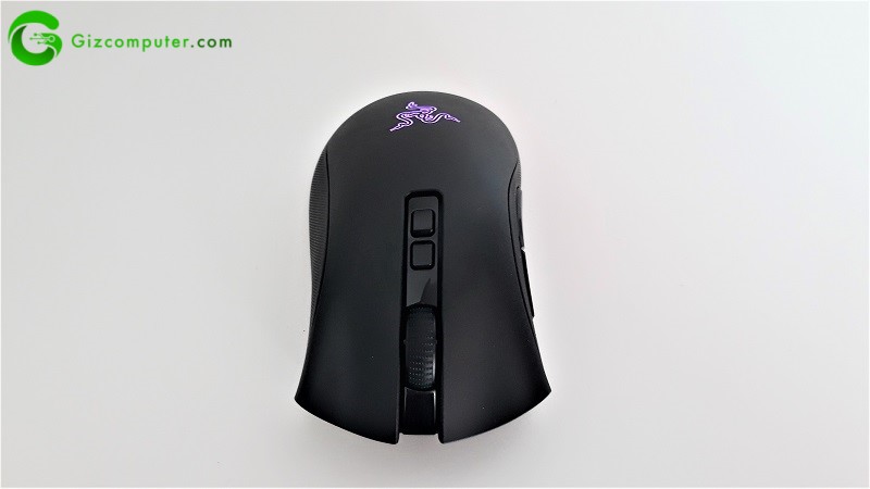 Razer DeathAdder V2 Pro