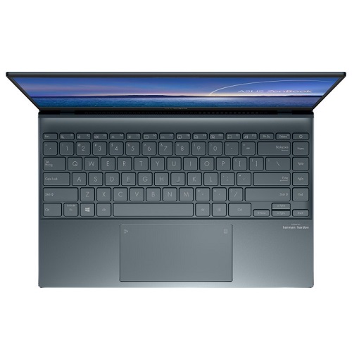 Asus ZenBook 14 UM425IA-AM006T