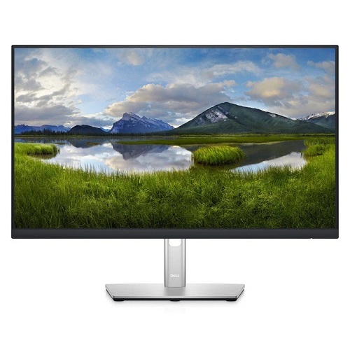 Dell P2422HE