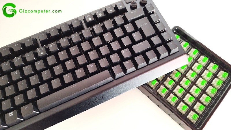 Razer BlackWidow V4 75%