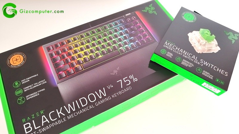 Razer BlackWidow V4 75%